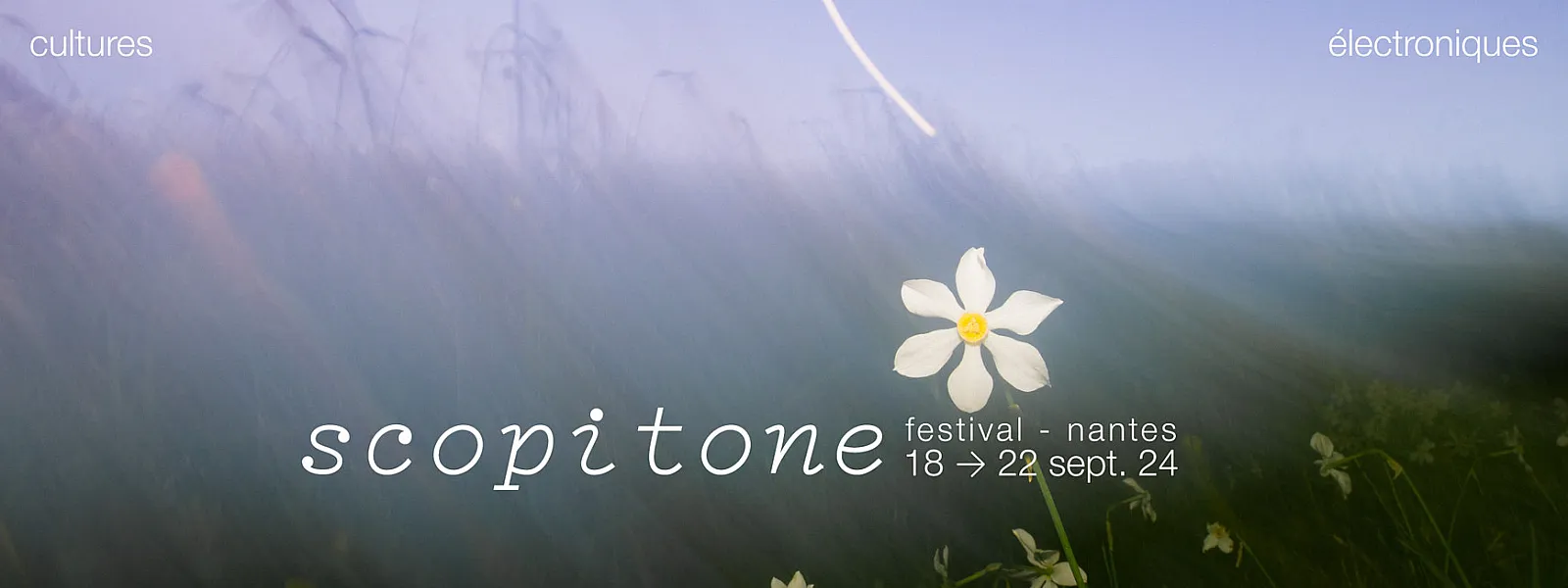 Scopitone 2024