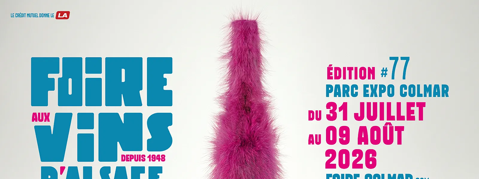 Foire aux Vins