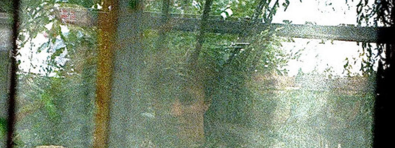 Porchlight