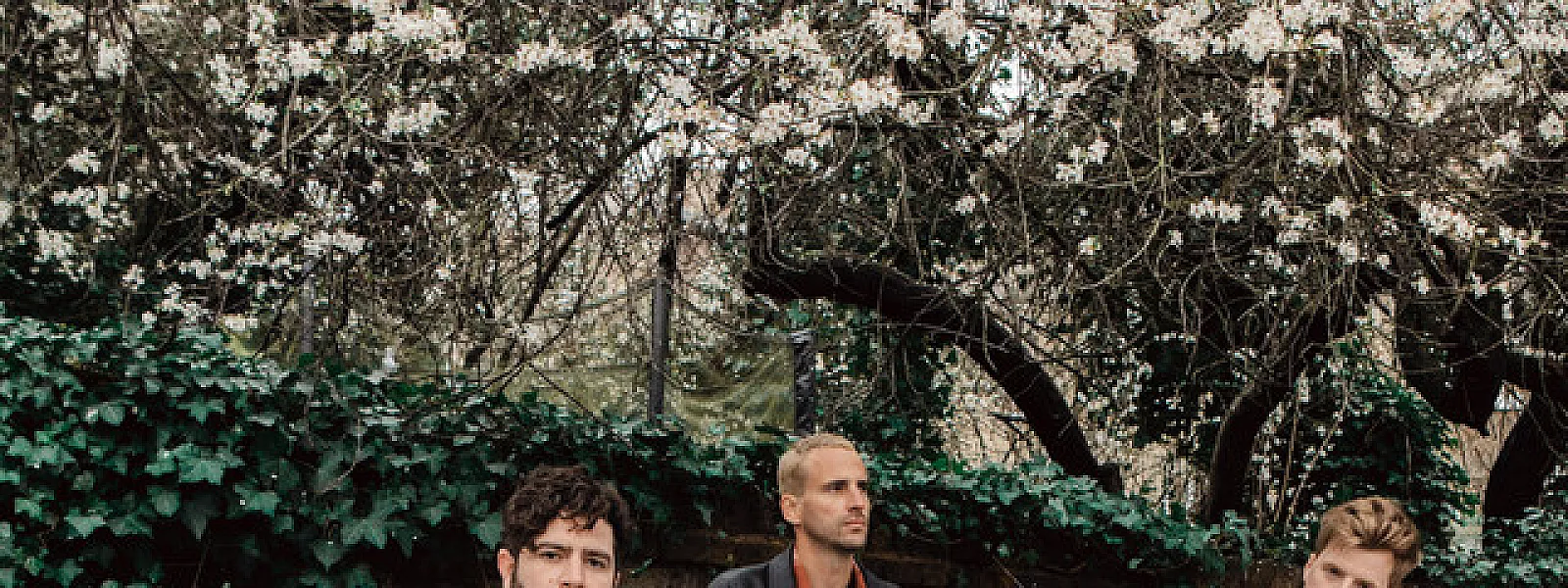 Foals