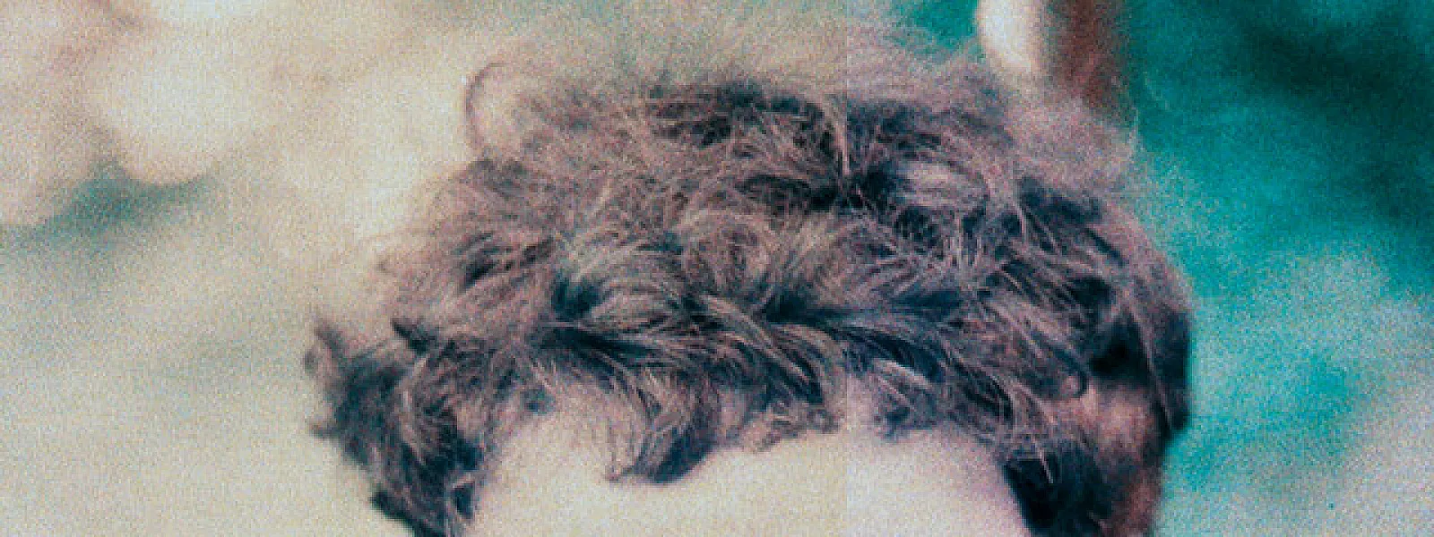 Pablo Murgier
