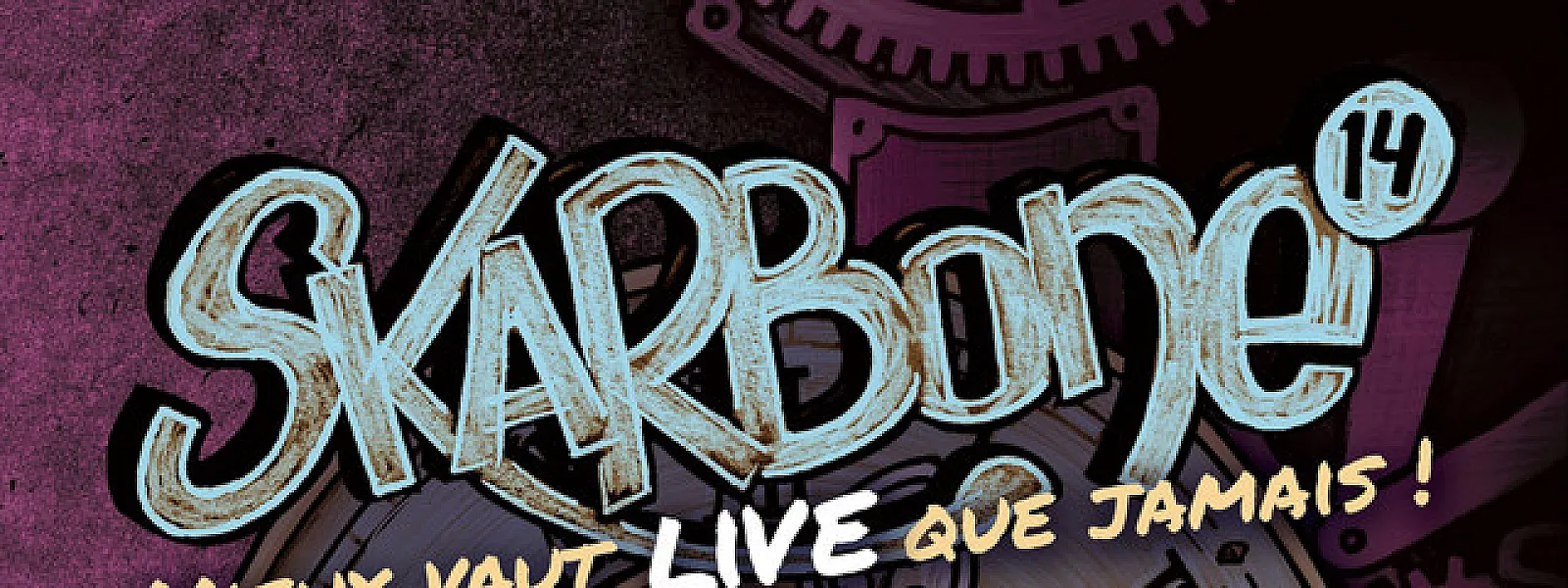 Skarbone 14
