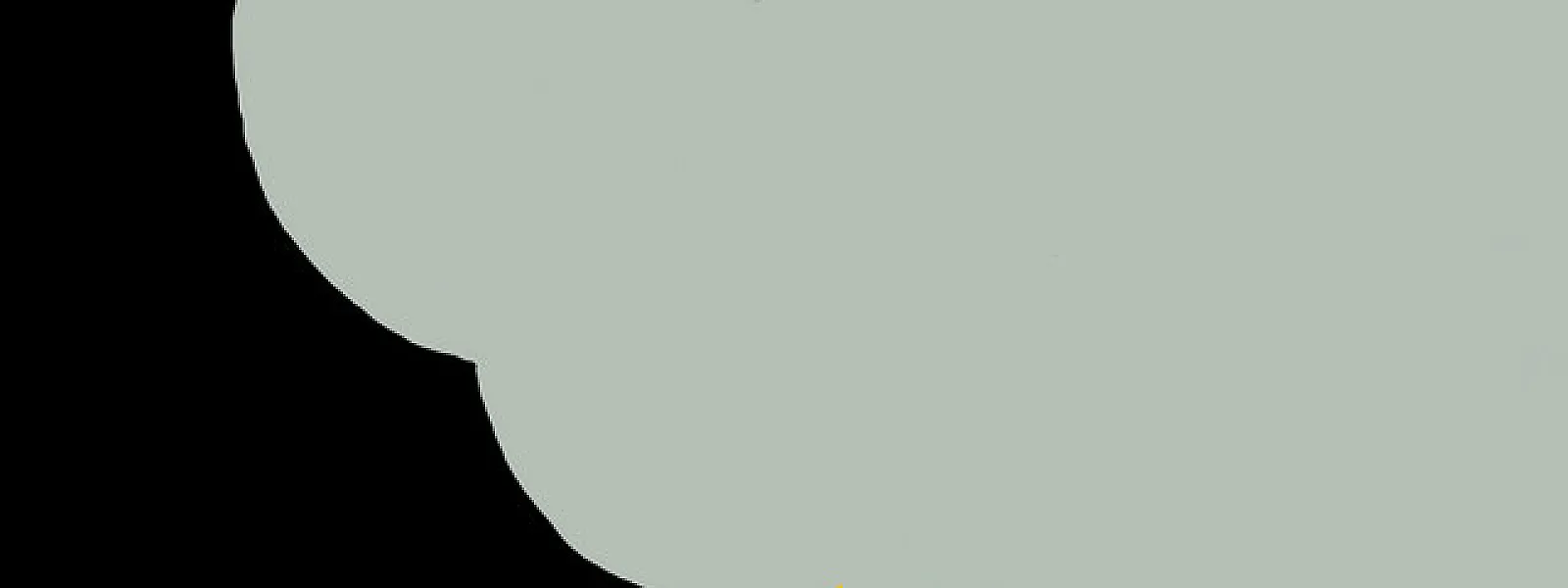 Poudre Noire