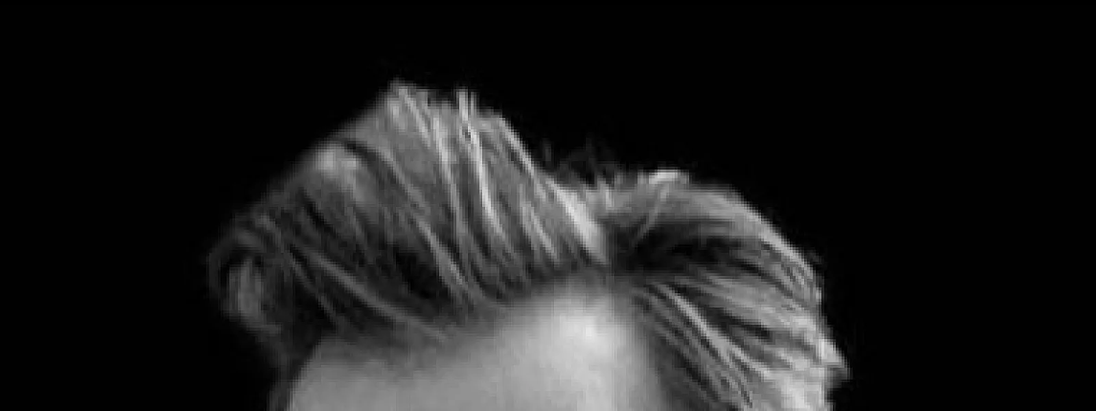 David Hallyday
