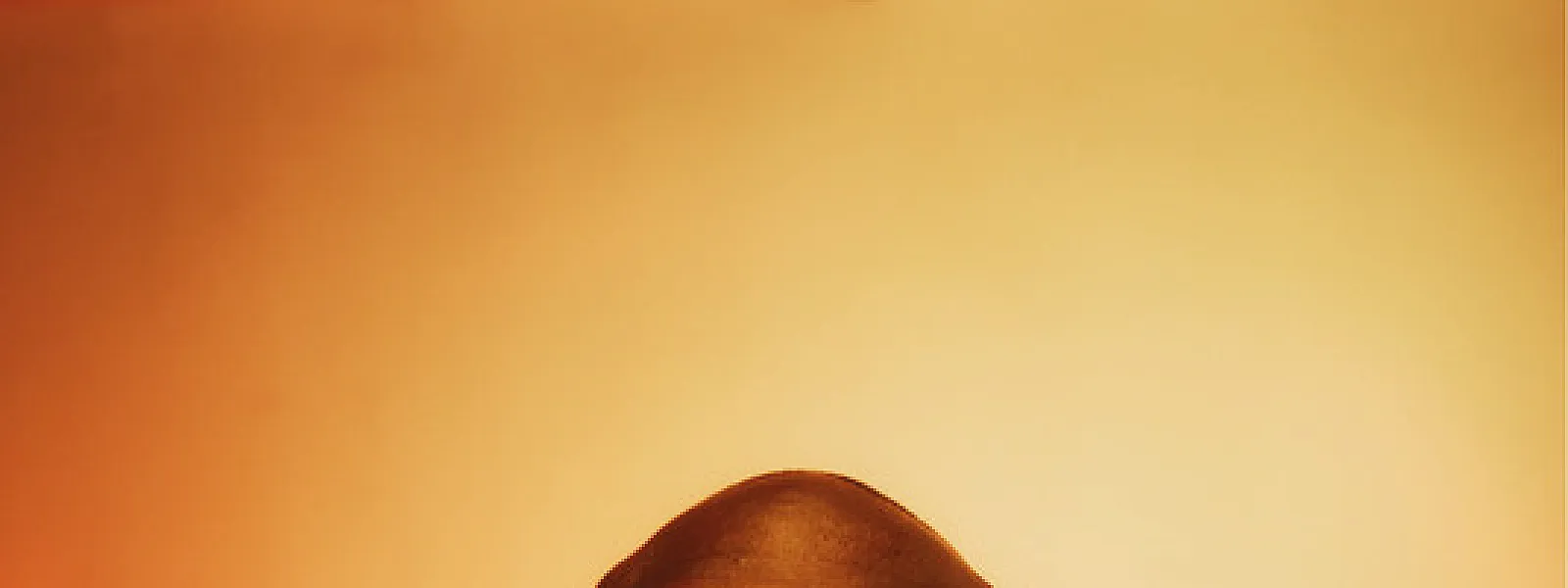 Joshua Idehen