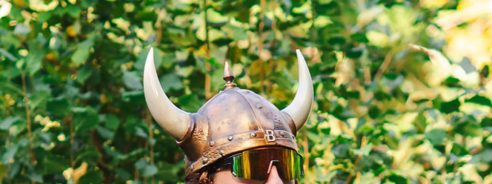 Bardix le Gaulois