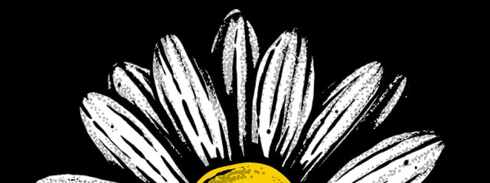Killing Daisies