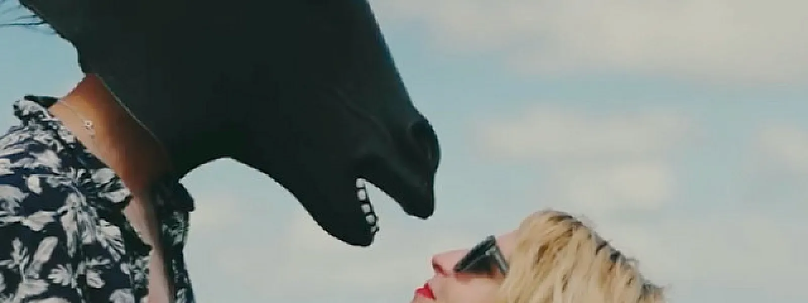 Josy & The Pony