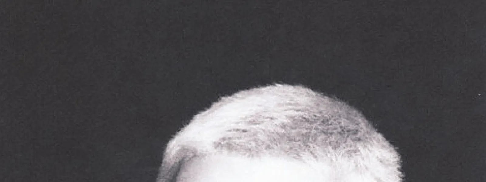 Pedro Mizutani
