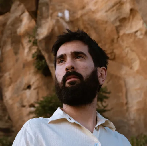 Davide Ambrogio