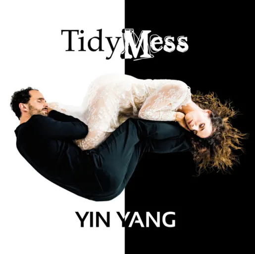 TidyMess
