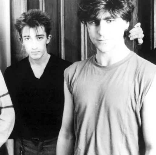 The Chameleons