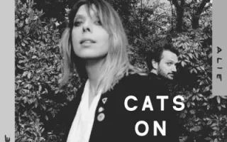 Cats on Trees