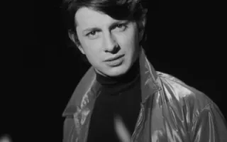 Herve Vilard