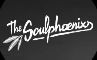 The SoulPhoenixs
