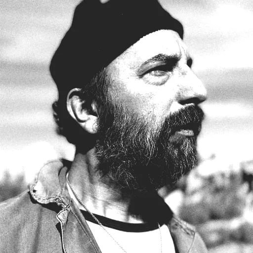 Herman Düne
