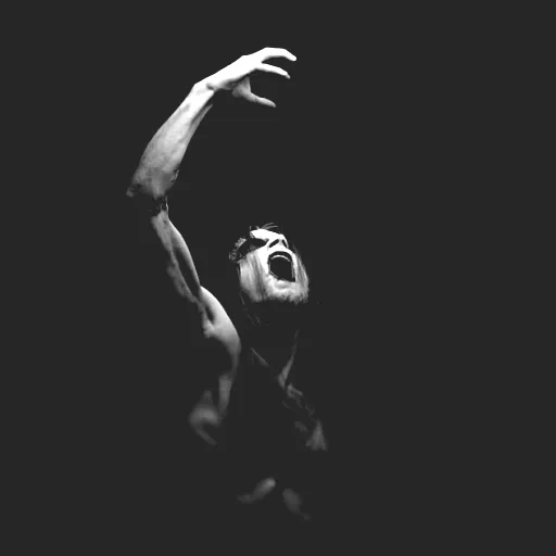 Taake