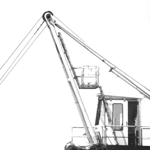 P.446