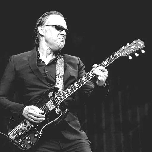 Joe Bonamassa