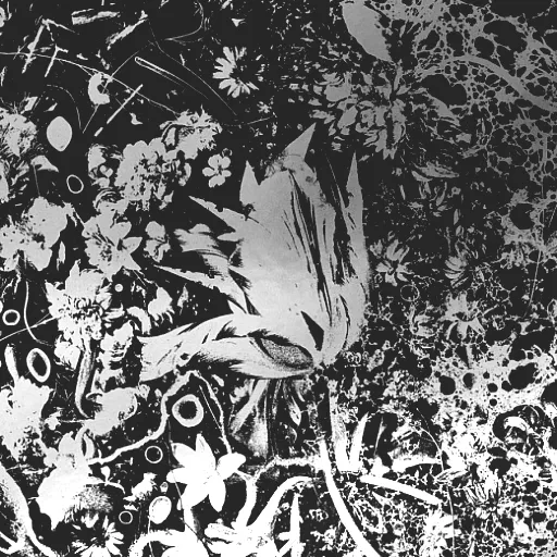 Converge