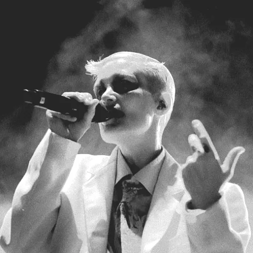 Fever Ray