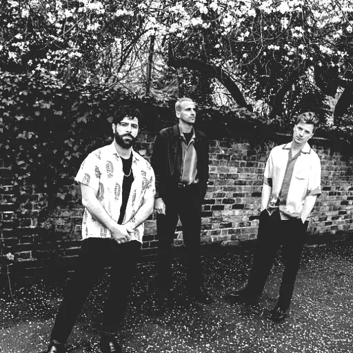 Foals
