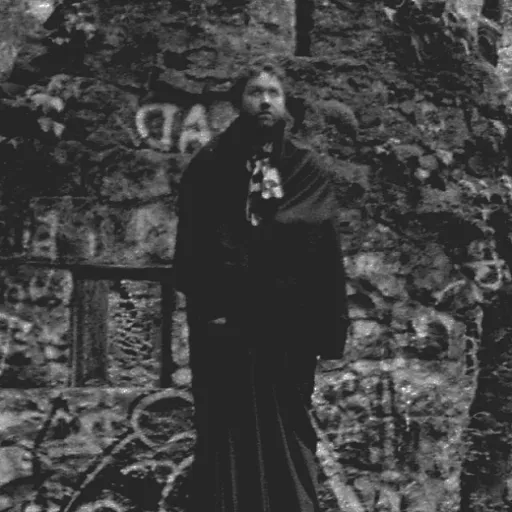 Unknown Mortal Orchestra