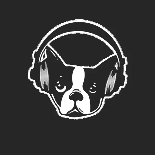 Snarky Puppy