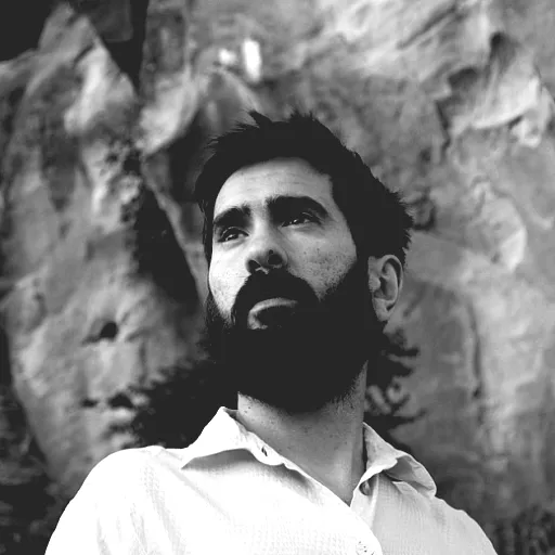 Davide Ambrogio