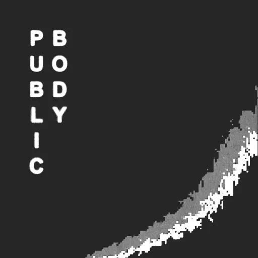 Public Body
