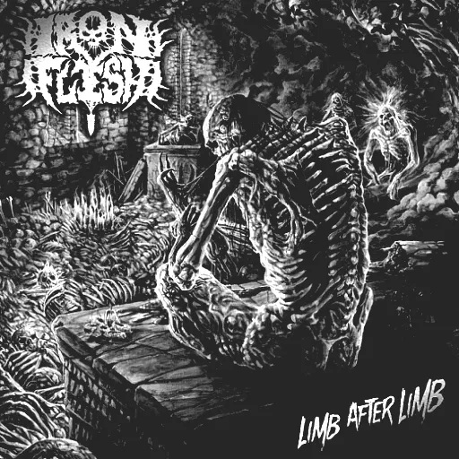 Iron Flesh