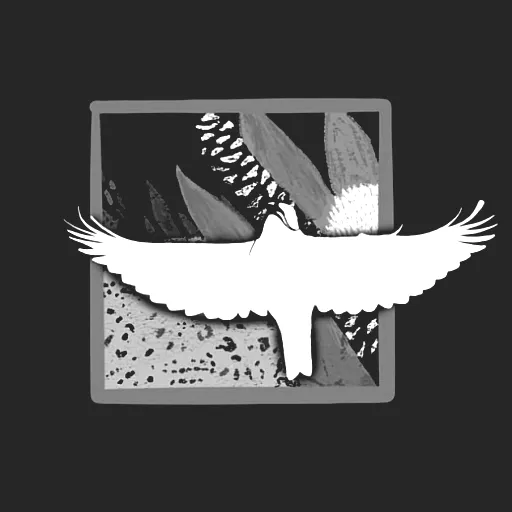 Araponga