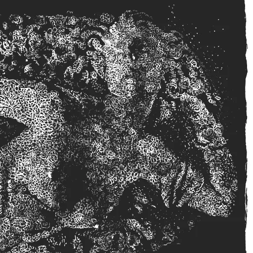 Frànçois Atlas