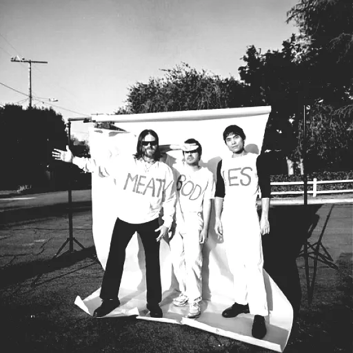 Meatbodies