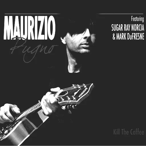 Maurizio Pugno