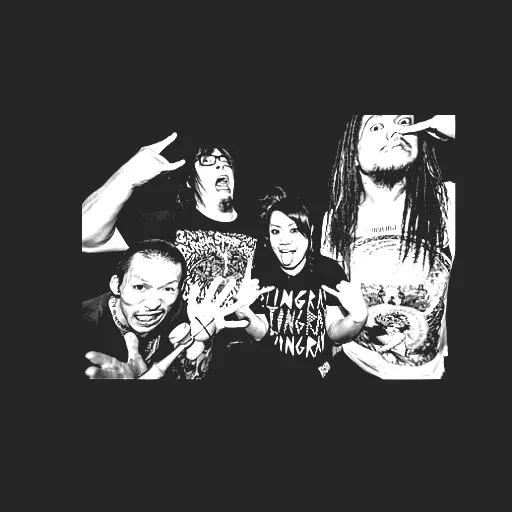 Maximum the Hormone
