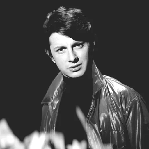 Herve Vilard