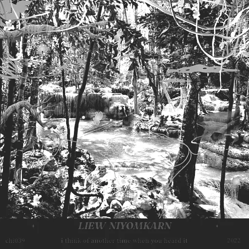 Liew Niyomkarn