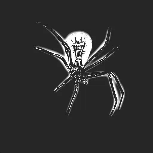 L’Araignée Au Plafond