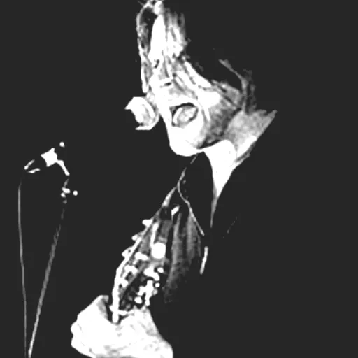 Ray Wilson