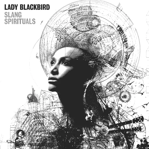 Lady Blackbird