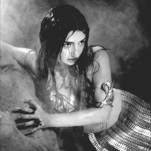 Alexi Shell
