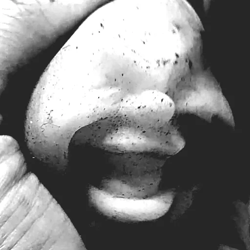 Amnesia Scanner
