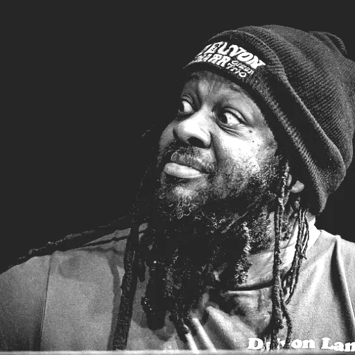 Delvon Lamarr Organ Trio
