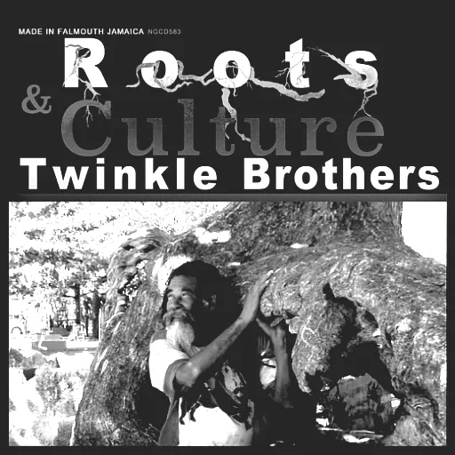 The Twinkle Brothers