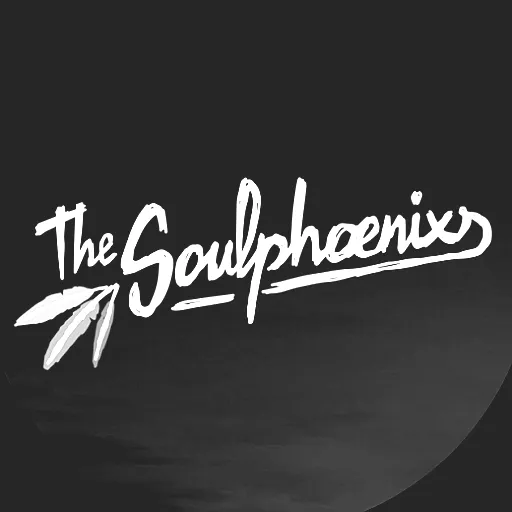 The SoulPhoenixs