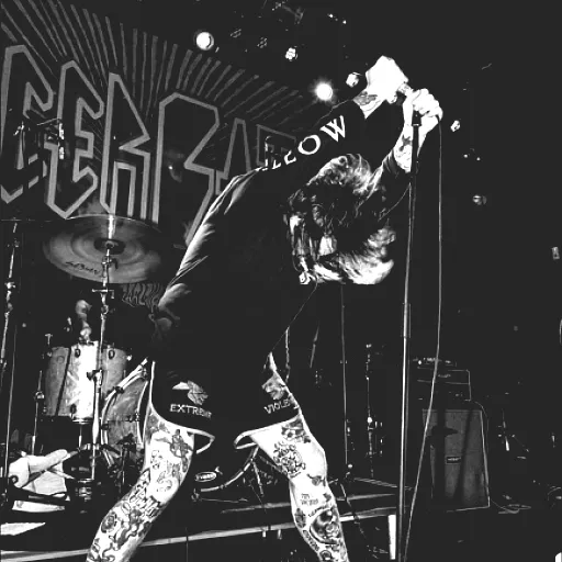 Cancer Bats