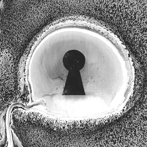 Dirty Sound Magnet