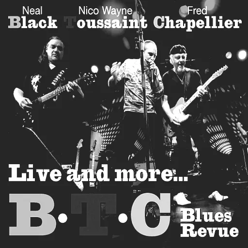 B.T.C blues revue