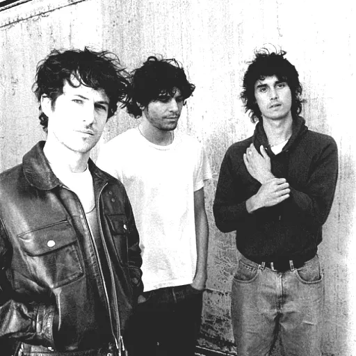 Wallows